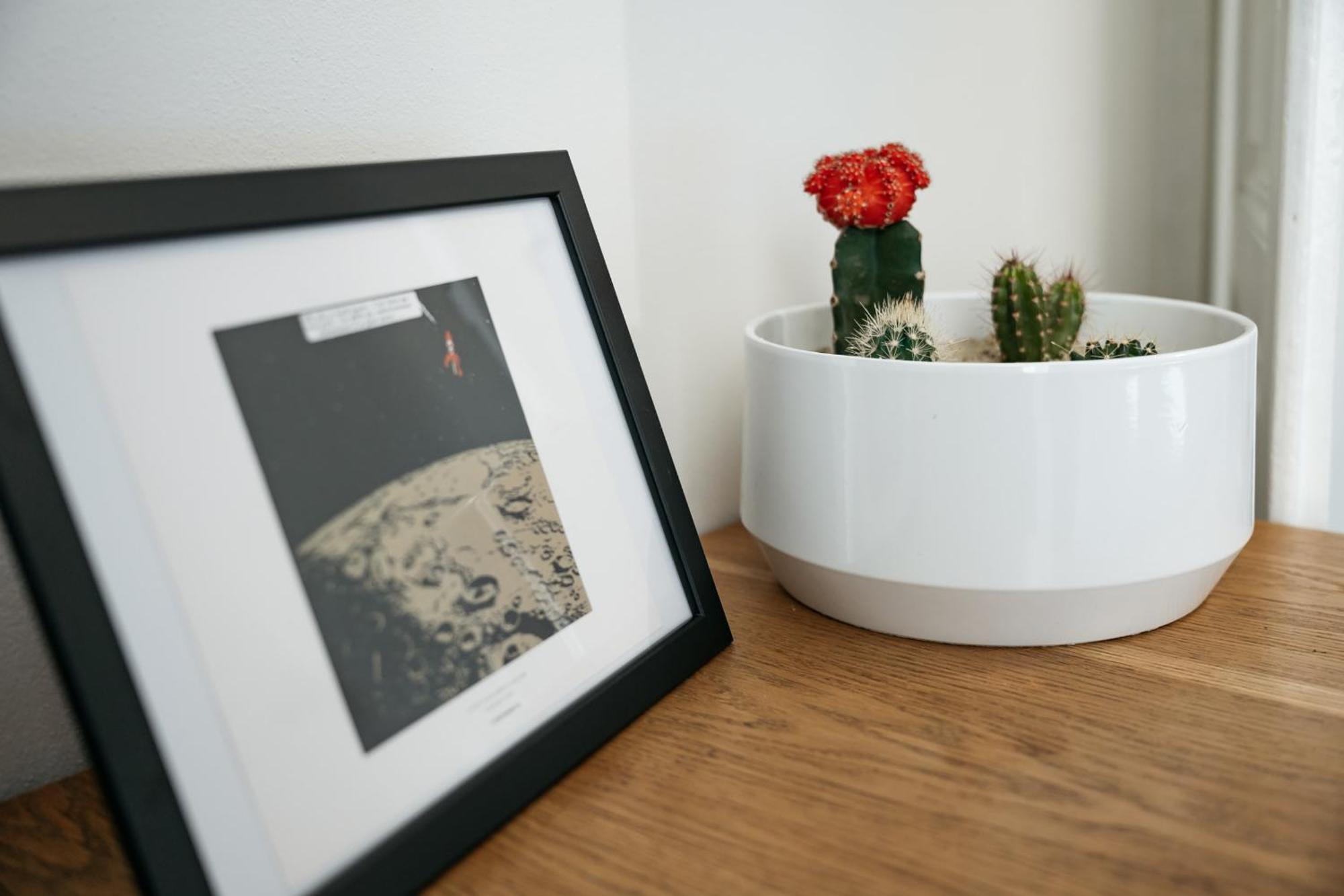Comfortable And Cosy Apt A Few Steps From Dancing House And Naplavka Dance Praha Exteriér fotografie